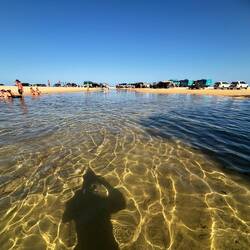 Eli Creek, der größte Süßwasser Bach der Ostküste