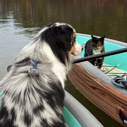 A meeting of the minds!