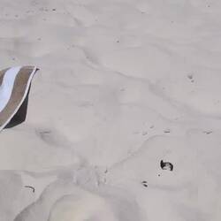 White Sand Beach