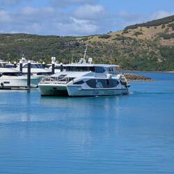 Our catamaran for the day