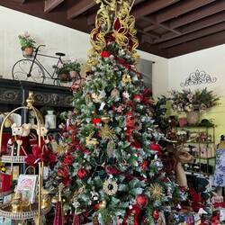 Christmas 🎄 in Richmond