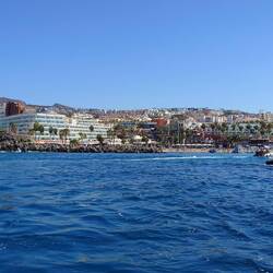 Puerto Colon