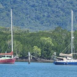 Some random boats in the harbor