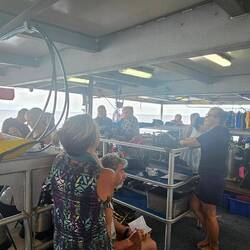 Typical 'Dive Brief'