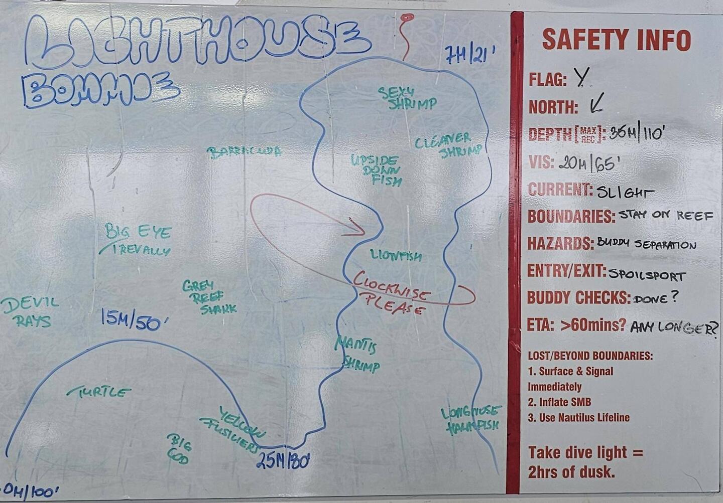 Dive site 1: Lighthouse Bommie; max depth: 76ft