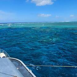 Surface view of Cod Hole.