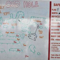 Afternoon dive: Cod Hole, max depth: 40ft