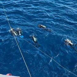 For this site, we entered the water in 2 groups (we were in the 2nd group)