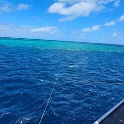 Surface view of Coral Kingdom site.