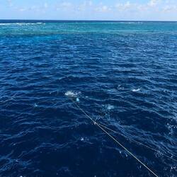 Surface view of dive site 3: Harrier Reef