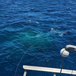 Surface view of Crack-a-Jack