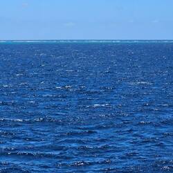 Oftentimes you can see the outer edge of the reef if you look out far enough...