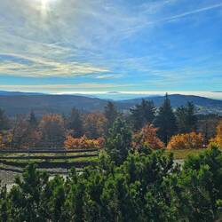 Ausblick vom Inselsberg