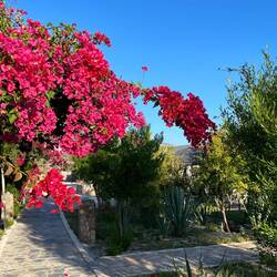 Im Jebel Shams Resort auf über 2000 MüM