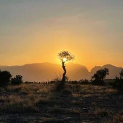 Sonnenuntergang 😍