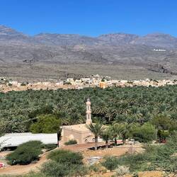 Al Hamra mit Dattelplantage