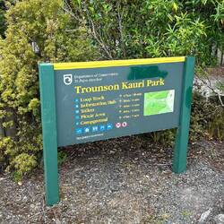 Trounson Kauri Park