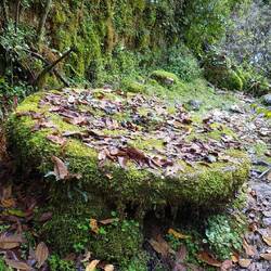 Überreste eines Mühlsteins