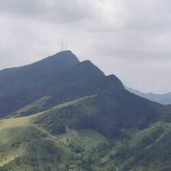 Die Knuckels: wie die Knochen an der geschlossenen Hand