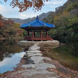 Pagode mit blauem Dach