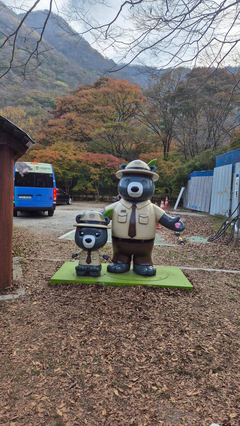 Masskotien des Nationalparks?