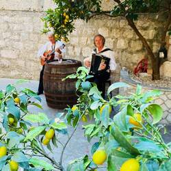 Musikalischer Empfang auf einem Bauernhof
