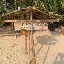 Unsere Lieblingsplatz am Strand: 2xCoconut