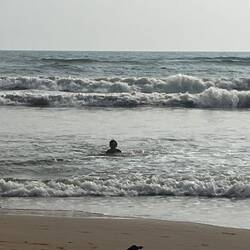 Da war ein Loch... und Plumps ist die Curly weg😂