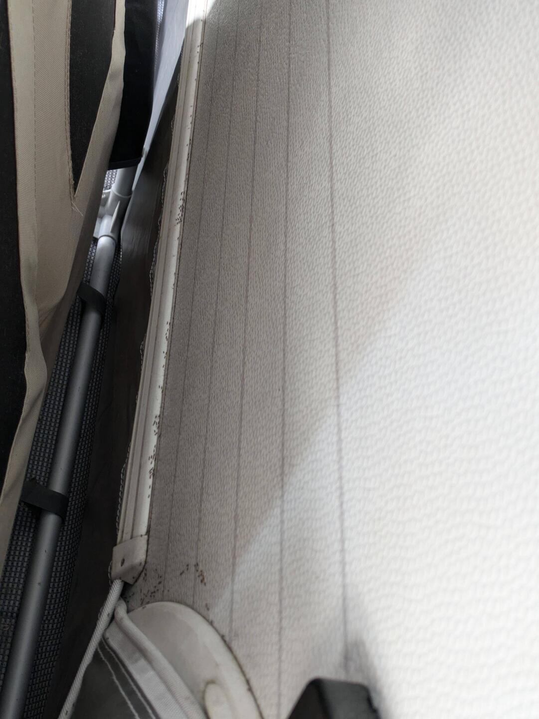 😱Wo wollen die denn alle hin... 🐜🐜🐜🐜🐜🐜🐜🐜🐜🐜🐜