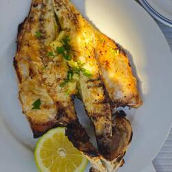 Mal wieder ins Piri Piri nach Quarteira