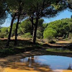 Auf der Fahrt nach Quarteira war der EV1 teilweise kaum nicht befahrbar