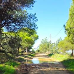 Dort wo es ganz schlimm war blieb keine Zeit zum fotografieren...