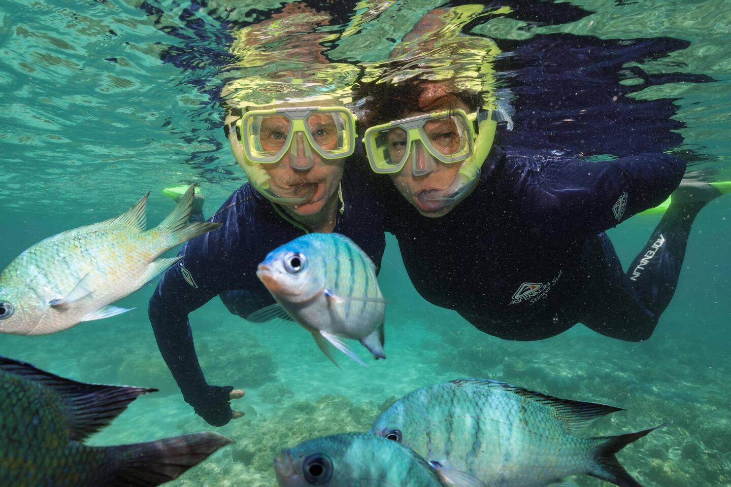 Snorkeling on the Great Barrier Reef