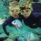 Snorkeling on the Great Barrier Reef