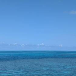 Hardy Reef - exceptional