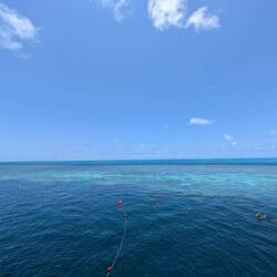 We snorkeled all the way to the end