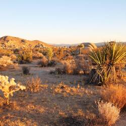 Wanderung zur Golden Hour