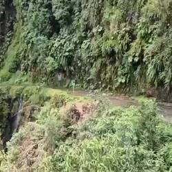 Sieben Leute sind in diesem Bus gestorben 🥺