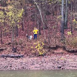 Morning walk. It was raining but the trail not bad. Lots of leaves. Fall in full force.
