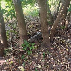 Einer der Freunde hatte sich verlaufen 🥺