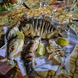 Was wir gefangen hatten gabs auch zum Essen