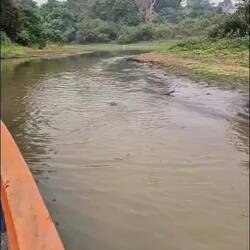 Auf dem Weg zu den pinken Delfinen