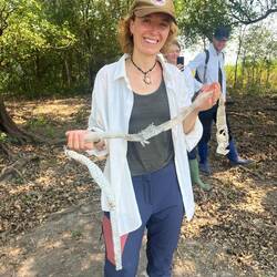 Die Haut einer Anakonda