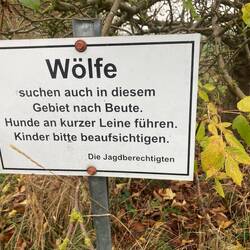 Ohne Worte