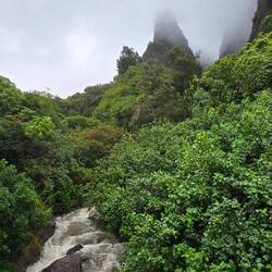 The Needle