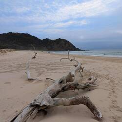 Tallow Beach von unten 😉