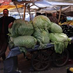 Auf dem Markt in Doğubeyazıt