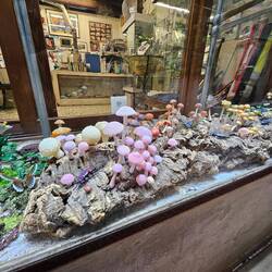 Glass bugs and mushrooms