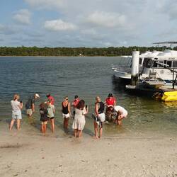 Top organisiert: ein Ranger, ein Delfin, ein Eimer Fisch, ein Fütterer, Angehörige mit Kamera