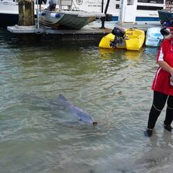 Wann nimmt sie ihn denn endlich?